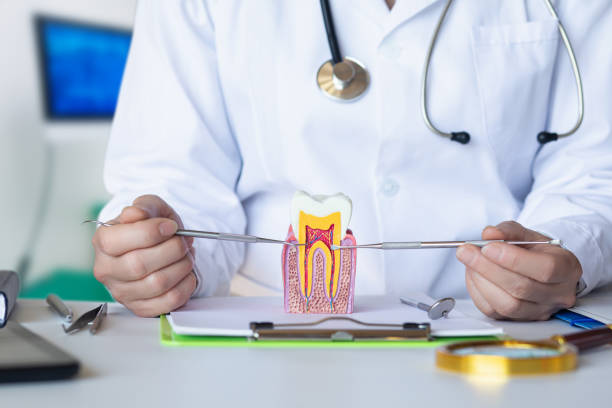 Best Urgent Dental Care for Toothache in Glen Dale, WV